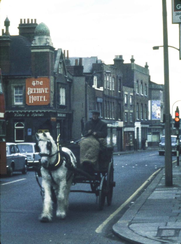 Horse and cart, Beehive corner with Half Acre
