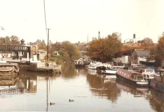 Houseboats moored, a pair of ducks