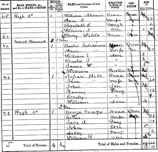 Excerpt from 1871 census