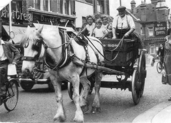 B/w photo of horse and cart with 4 small children on board, a pile of hay behind, being driven along the High Street